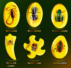 ZESTAW ARCHEOLOGICZNY WYKOPALISKA BURSZTYNÓW Z OWADAMI SKAMIENIAŁOŚCI