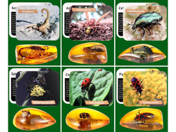 Wykopaliska skamieliny owadów bursztyny zestaw archeologa ZA4725