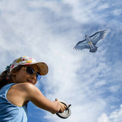 LATAWIEC ORZEŁ PTAK 150CM DLA DZIECI Z LINKA JASTRZĄB ODSTRASZACZ NA PTAKI