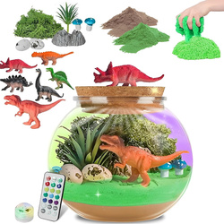 TERRARIUM KULA Z DINOZAURAMI ZESTAW LAMPKA NOCNA LED NA PILOT DLA DZIECI