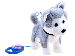 CHODZĄCY PIESEK PIES HUSKY NA SMYCZY Z PILOTEM PREZENT DLA DZIECI ZABAWKA