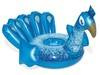 paw