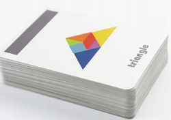 TANGRAM DREWNIANE PUZZLE UKŁADANKA W METALOWYM PUDEŁKU +120 KART Z FIGURAMI