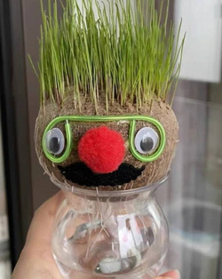 TRAWEK BUZIA FIGURKA GŁOWA DO PODLEWANIA Z ROŚLINĄ TRAWA OZDONA DO HODOWLA