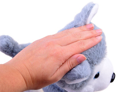 CHODZĄCY PIESEK PIES HUSKY NA SMYCZY Z PILOTEM PREZENT DLA DZIECI ZABAWKA