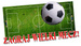 GRA PIŁKARZYKI  NA SPRĘŻYNKACH FOOTBALL ZA0039