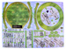  Spatial 3D Puzzle 35 elements Stonehenge ZA3301