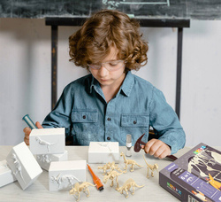 Wykopaliska dinozaury Zestaw do wykopalisk 6w1 dla dzieci Zabawka EDU T-Rex