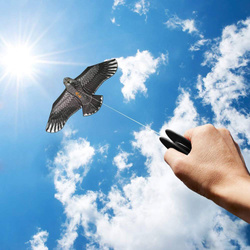 LATAWIEC ORZEŁ PTAK 150CM DLA DZIECI Z LINKA JASTRZĄB ODSTRASZACZ NA PTAKI