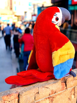 GADAJĄCA PAPUGA ARA ZABAWKA PLUSZOWA MÓWI POWTARZA INTERAKTYWNA MASKOTKA