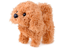 Interaktywny Piesek zestaw mały weterynarz ZA4356