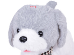 Interaktywny pluszowy Piesek CHARLIE Chodzi Szczeka Skomle + pilot ZA5362