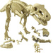 ZESTAW DO WYKOPALISK DINOZAURÓW SZKIELET SKAMIENIAŁOŚCI MODEL NAUKOWY