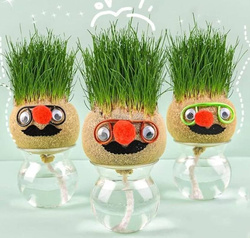 TRAWEK BUZIA FIGURKA GŁOWA DO PODLEWANIA Z ROŚLINĄ TRAWA OZDONA DO HODOWLA